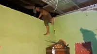 Menantu Perkosa Mertua, Saat Ditangkap Ngumpet di Plafon Rumah
