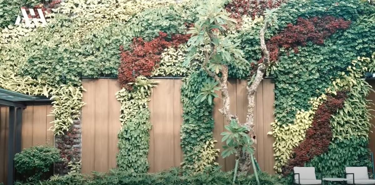 8 Potret Vertical Garden Rumah Mewah Titi Kamal dan Christian Sugiono, Indah dengan Nuansa Alam - Vibes bak Vila Bali