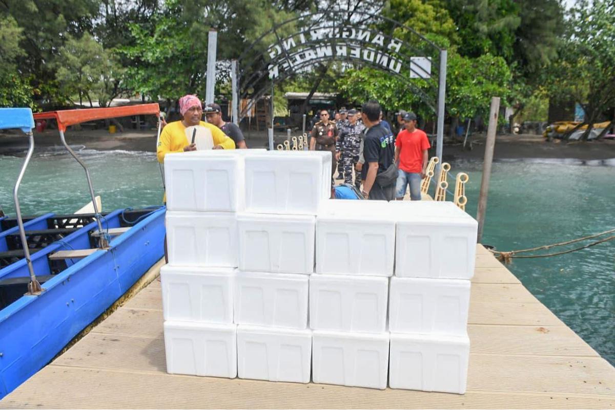 FOTO: TNI AL Gagalkan Penyelundupan 85 Ribu Benih Lobster di Banyuwangi
