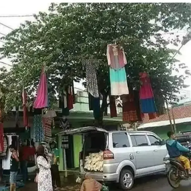6 Potret Absurd Orang Gantung Baju di Pohon, Bikin Kaget ketika Malam Hari