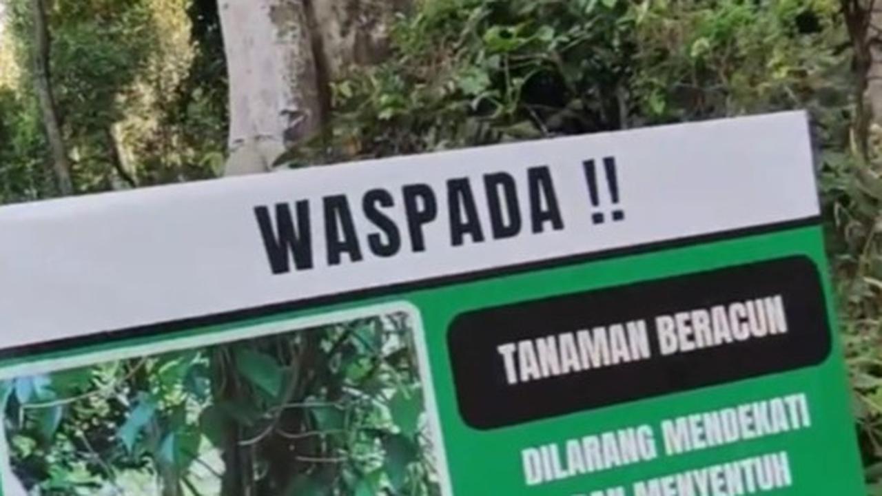 Curug Telu Kalices