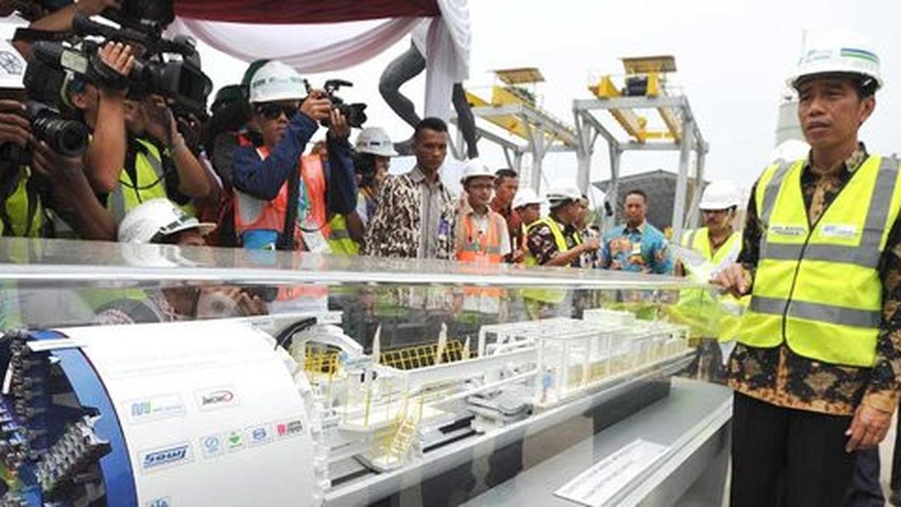 Ahok rayu Jokowi supaya bisa ikut kelola sapi