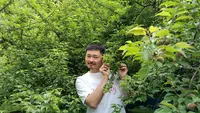 Laporan Liputan6.com dari Wakayama Jepang: Bertandang ke Kebun Plum