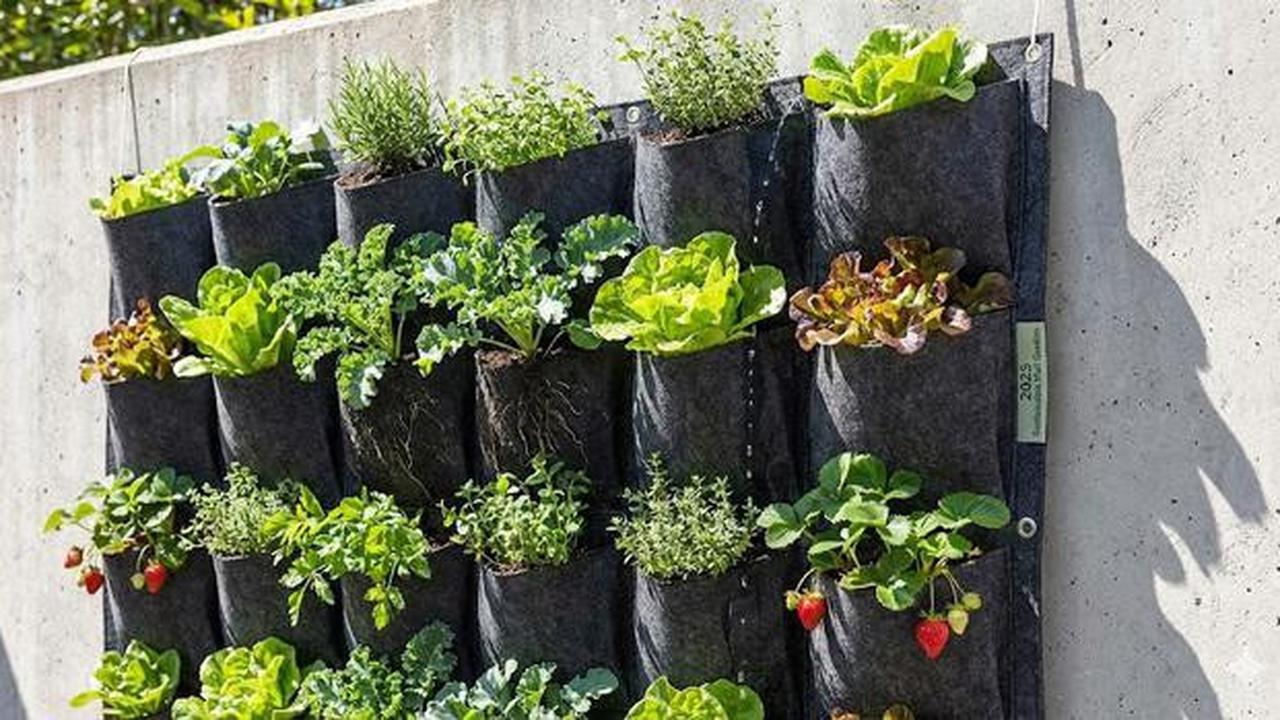 9 Ide Kebun Sayur Bertingkat di Teras Rumah, Hemat Ruang