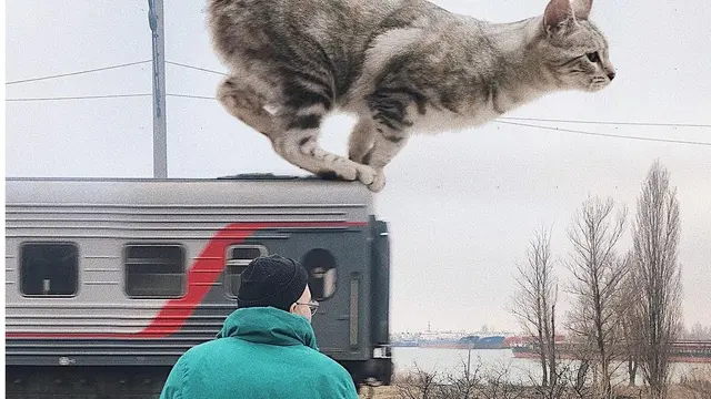 Penampakan Lucu Kucing Diedit Jadi Raksasa Ini Bikin Gagal Takut