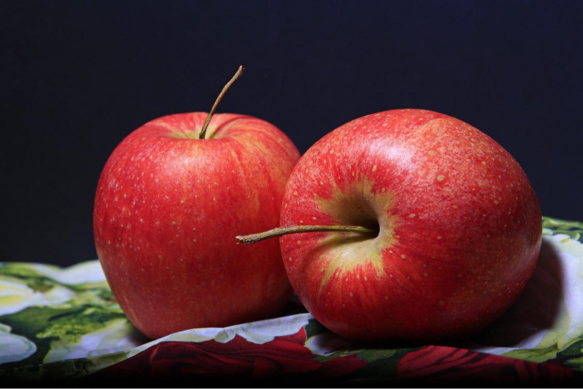 Ilustrasi buah apel