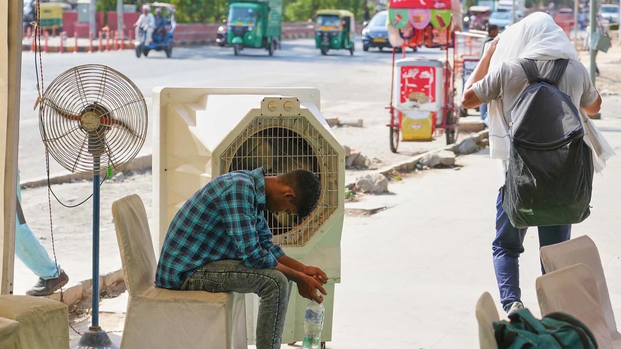FOTO: Gelombang Panas Ekstrem Lumpuhkan Aktivitas Warga India Utara