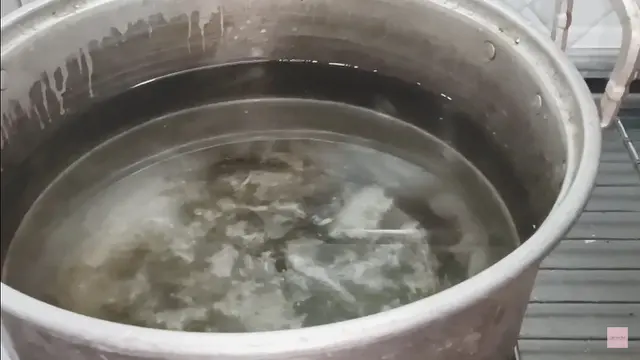 Mudah Ditiru, Ini Cara Lepaskan Daging Kelapa dari Cangkangnya Tanpa Pisau