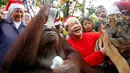 Ekspresi Orangutan bernama Pacquiao saat minum susu dalam perayaan natal di Malabon, Filipina (21/12). Pacquiao merayakan natal bersama sekitar 200 anak yatim piatu dan biarawati Katolik Roma. (AP Photo / Bullit Marquez)