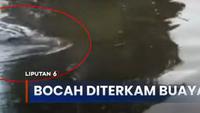 Detik-Detik Bocah Menghilang Diseret Buaya Saat Mandi di Sungai