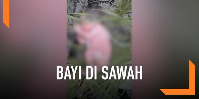 VIDEO: Bayi Baru Lahir Ditemukan Nyaris Tewas di Sawah