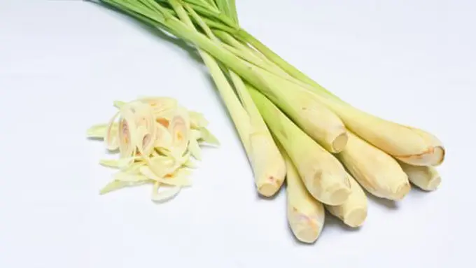 copyright by Shutterstock.com