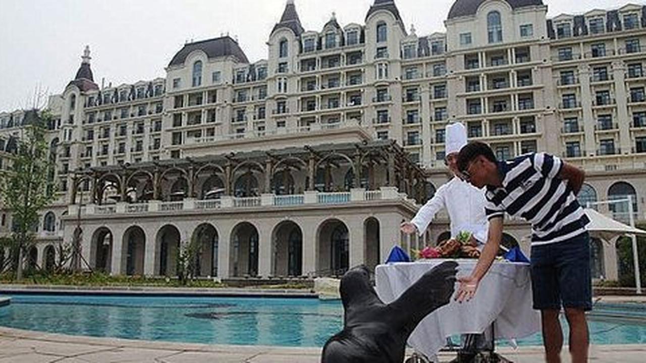 Putra triliuner China sewa kolam renang hotel buat ultah singa laut