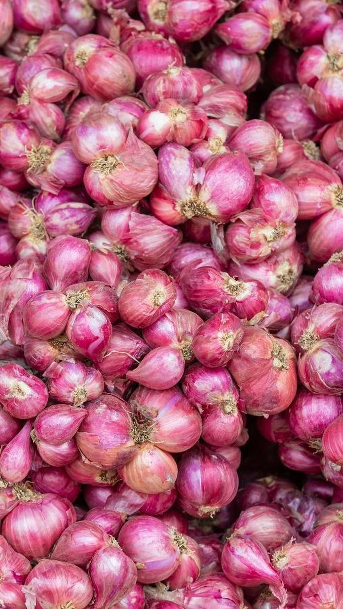 12. Bawang Merah<br>