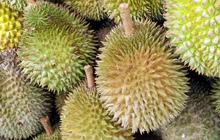 Cara Baru Diplomasi Indonesia terhadap China Lewat Durian Beku