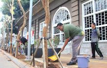 Tahukah Anda? Ratusan Ribu Tanaman Hias Ditanam dalam Program Penghijauan Jakarta Barat