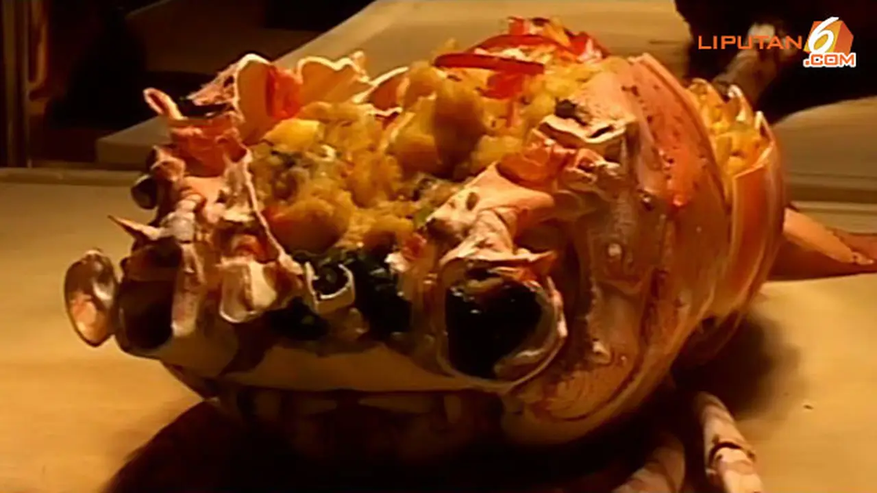 chef-vindex-130713a.jpg