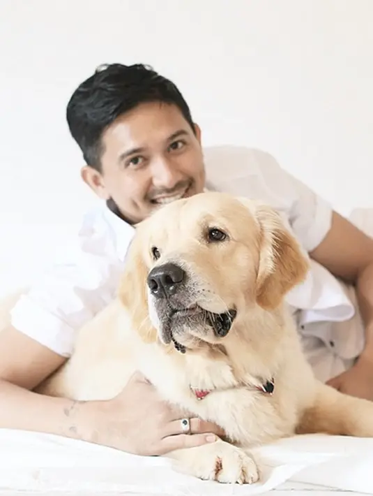 Aktor Ryan Delon ternyata merupakan penyayang binatang, khususnya anjing. Telah menikah dan memiliki anak tidak mengurangi kebersamaannya dengan anjing-anjing peliharaan kesayangannya. (via instagram/@tail_wagging)