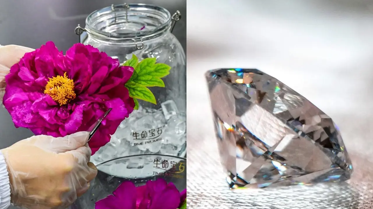 Berlian dibuat dari bunga Peony