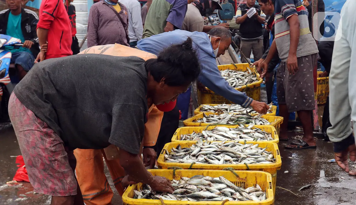 Nelayan menata ikan hasil tangkapan di Pelabuhan Muara Angke, Jakarta, Selasa (27/12/2022). Kementerian Kelautan dan Perikanan (KKP) pada 2023 menargetkan peningkatan nilai ekspor komoditas kelautan dan perikanan hingga mencapai USD 7,6 miliar. (Liputan6.com/Herman Zakharia)