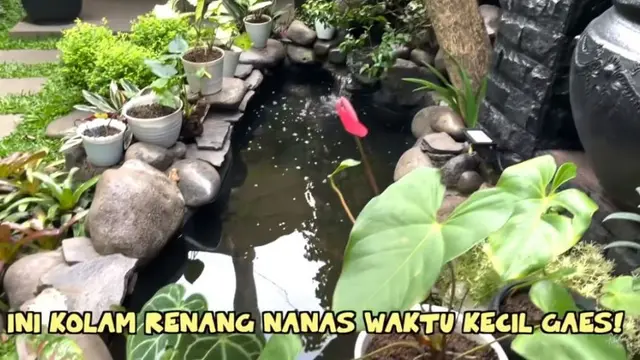 Menengok Halaman Rumah Keluarga Raffi Ahmad di Bandung, Penuh Tanaman dan Masih Terawat