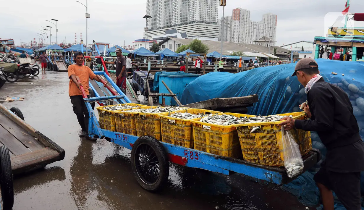 Nelayan memindahkan ikan hasil tangkapan di Pelabuhan Muara Angke, Jakarta, Selasa (27/12/2022). Kementerian Kelautan dan Perikanan (KKP) pada 2023 menargetkan peningkatan nilai ekspor komoditas kelautan dan perikanan hingga mencapai USD 7,6 miliar. (Liputan6.com/Herman Zakharia)