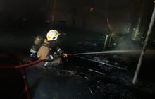 VIDEO: Kronologi Mal Ciputra Terbakar Diperkirakan Rugi Rp5,6 M, Polisi Duga Asal Api dari Restoran