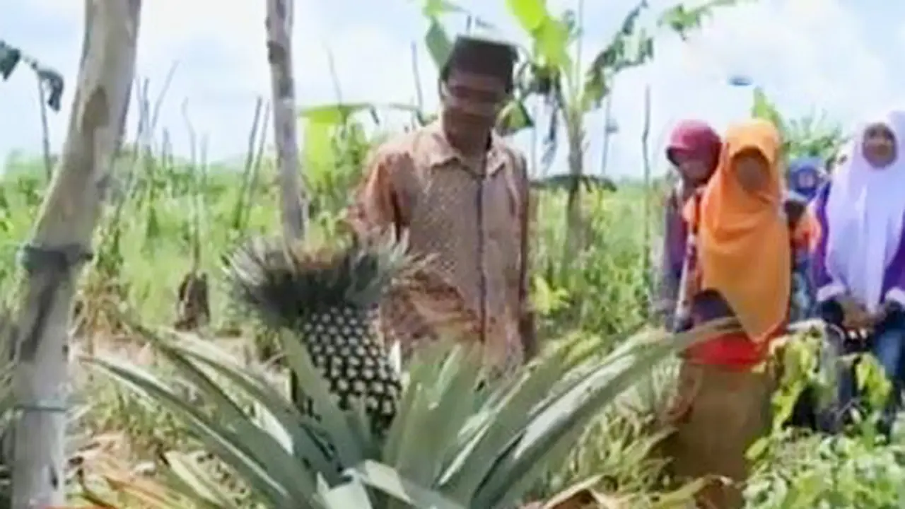 VIDEO: Petani Ini Ciptakan Jenis Tanaman Unggul
