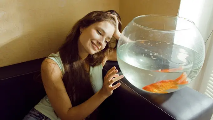 Foto: copyright thinkstockphotos.com