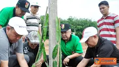 Citizen6, Pulung Kencana: Kebun Agrowisata merupakan salah satu ikon yang sedang dibangun oleh Pemerintah Kabupaten Tulang Bawang Barat, yang akan menjadi tempat rekreasi sekaligus praktik budidaya pertanian. (Pengirim: Humas TBB)