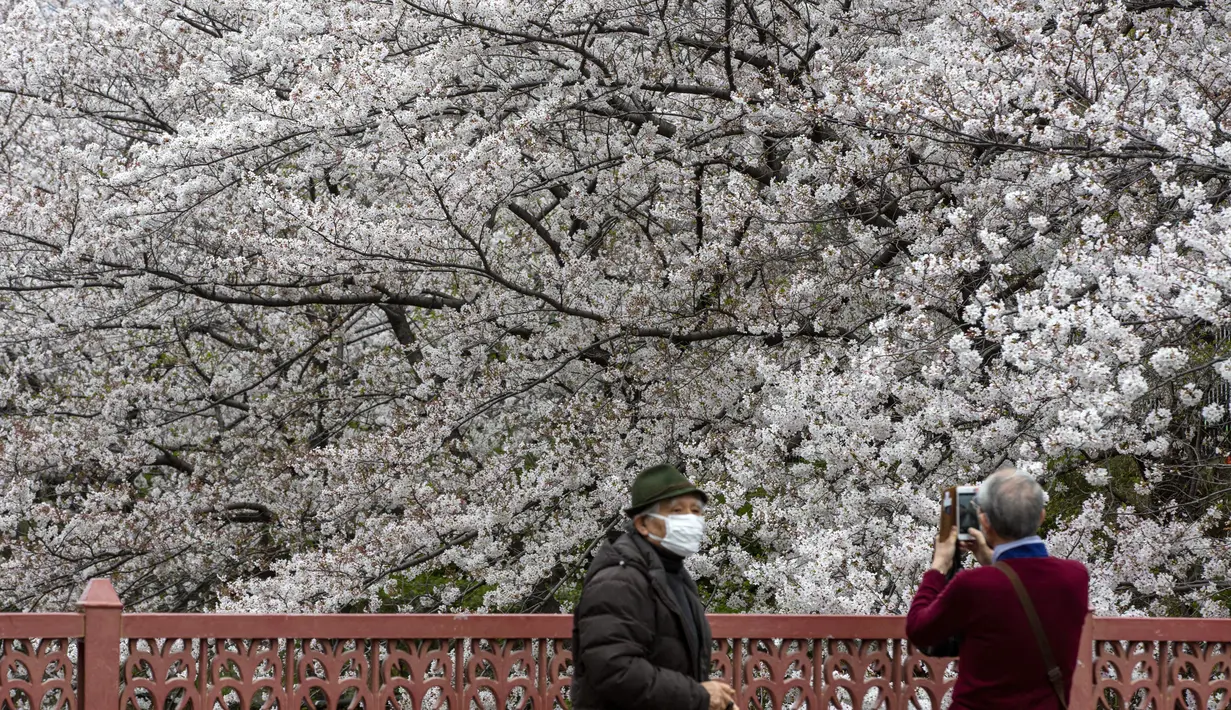 Orang-orang yang memakai masker pelindung untuk membantu mengekang penyebaran virus corona mengambil gambar bunga sakura di Tokyo, Minggu (28/3/2021). (AP Photo/Kiichiro Sato)