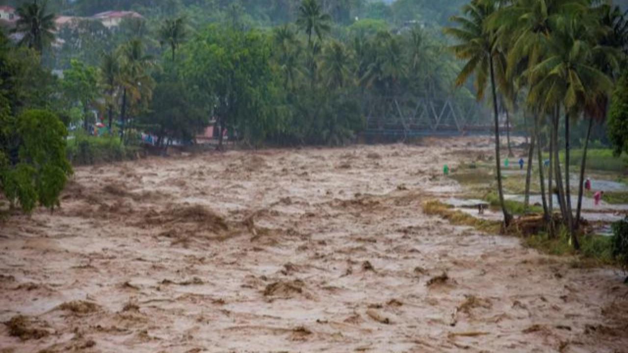 Komisi IV DPR: Menhut Raja Juli Antoni Kebagian Cuci Piring atas Kerusakan Hutan