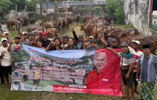 Genjot Gotong Royong, PDIP Bagikan 485 Sapi Kurban ke Pondok Pesantren hingga Panti Asuhan di Jatim