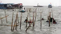 Pemilik Pagar Laut di Tangerang Terungkap, Didenda Rp 540 Juta