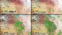 Pemandangan hijau dari tahun 1980-an hingga awal 2010-an di utara Arab Saudi. Dok: NASA