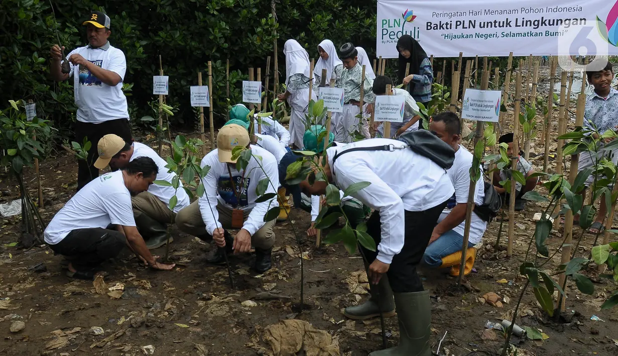 PT PLN Nusantara Power bersama Komunitas Mangrove Muara melakukan penanaman mangrove di Kawasan Eco Marine Mangrove Muara Angke, Jakarta, Kamis (7/12/2023. (merdeka.com/Imam Buhori)