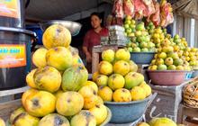 Pemkab Sumedang Genjot Pengembangan Hortikultura Mangga dan Cabai Melalui Program HDDAP