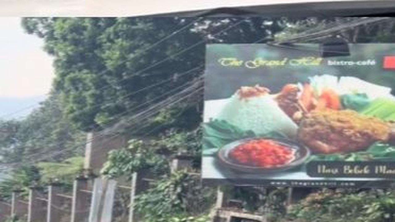 Viral Penampakan Ular Hijau Bikin Macet Jalan, Pemotor Takut Mau Lewat