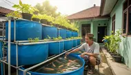 Kesalahan Pemula Ternak Gurami di Kolam Terpal dan Cara Menghindarinya