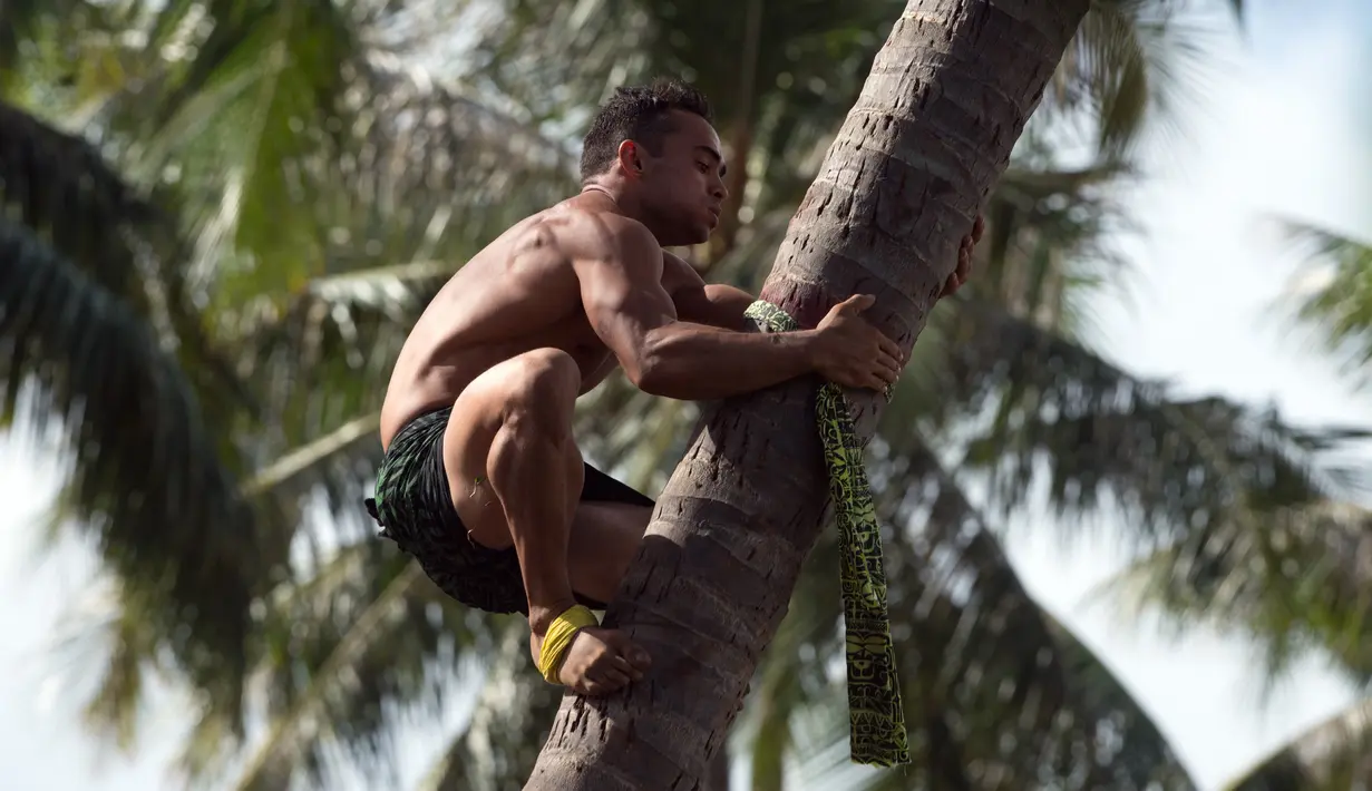 Peserta saat memanjat pohon kelapa di Papeete, Polinesia (15/7). Para peserta yang ikut dalam kejuaraan ini berasal dari Polinesia Prancis yang berada di lima kepulauan yakni Tahiti, Bora Bora, Huahine dan Australes. (AFP Photo/Gregory Boissy)