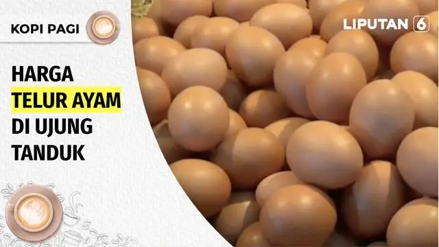 Untuk pertama kali dalam sejarah Republik, harga telur ayam capai Rp 32 ribu per kg. Kondisi ini memaksa warga terpaksa membeli telur pecah, karena dijual dengan harga lebih murah.