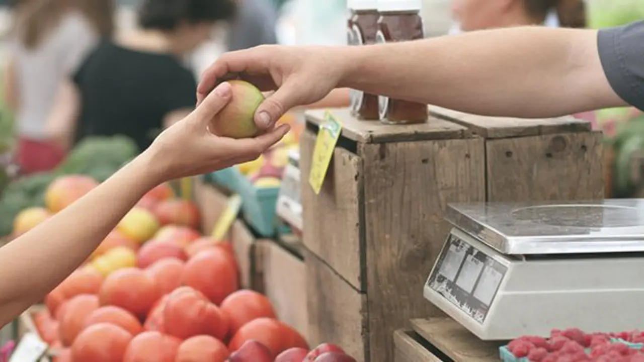 Foto: copyright pexels.com