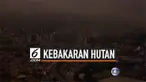 Hutan hujan Amazon di Brasil mengalami peningkatan jumlah kebakaran tahun ini. Asap dari kebakaran hutan itu pun mengakibatkan langit kota Sao Paulo tertutup kabut.