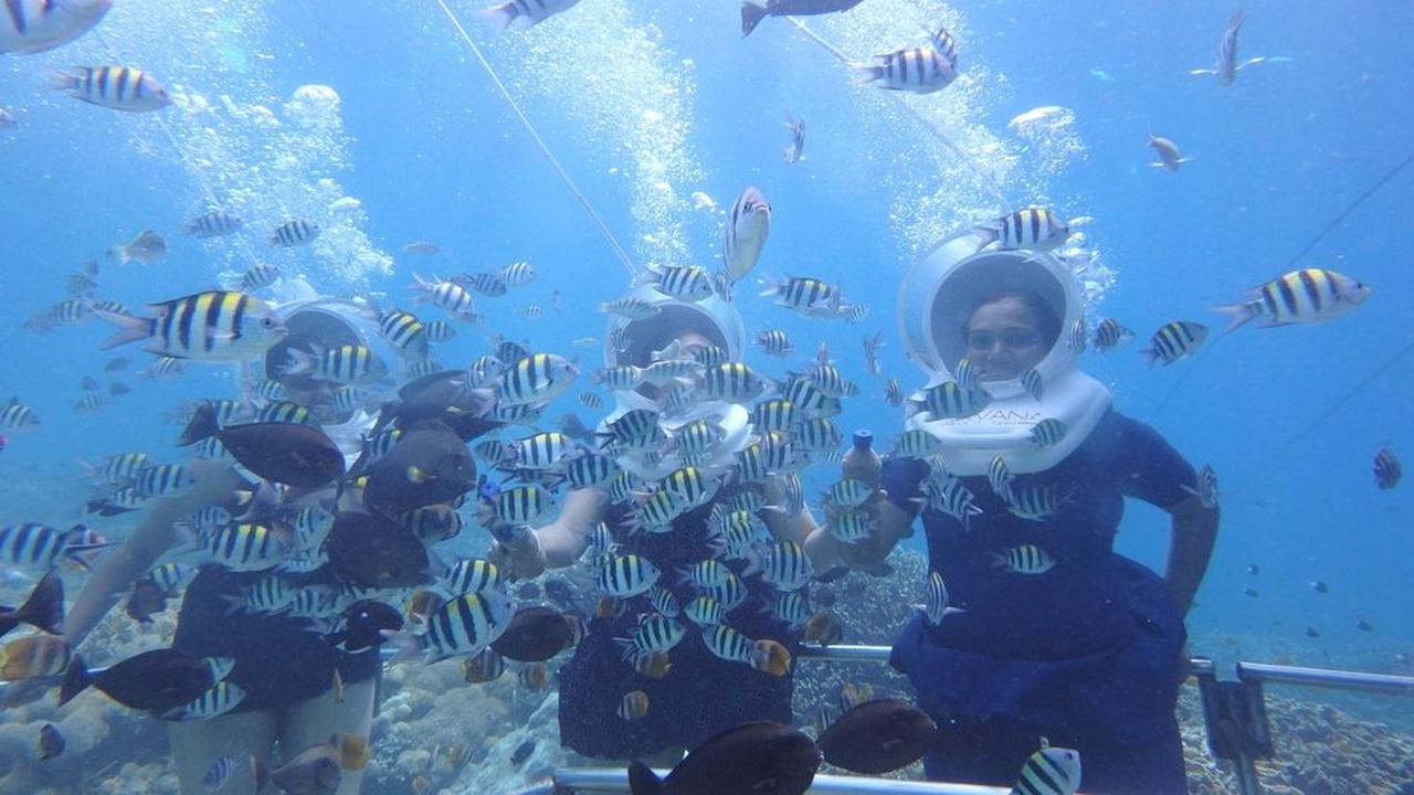 1. Bali Seawalker