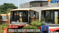 Bus-bus ini diparkir diantara rumput-rumput liar buntut dari perusahaan pemilik yang telah dinyatakan pailit.
