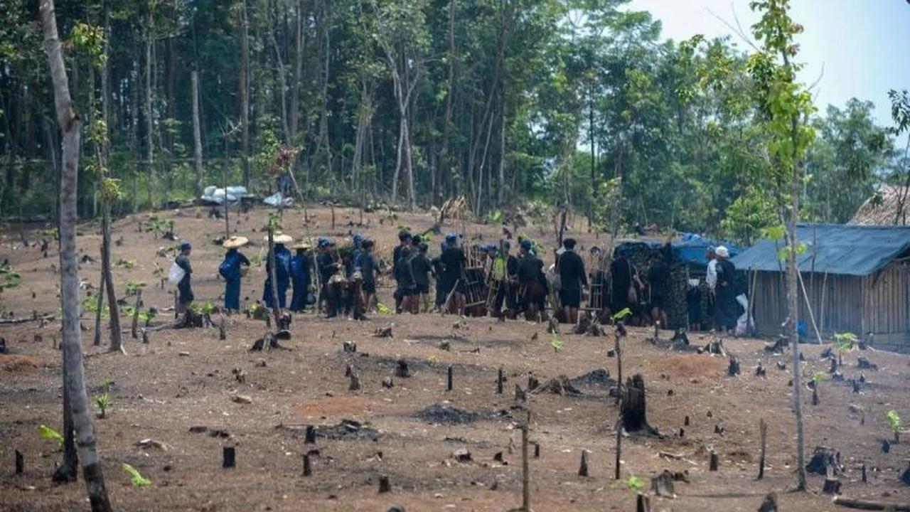 Tradisi Gotong Royong Unik: Petani Badui Kembali 'Ngaseuk Padi Huma Badui' di Lahan Darat