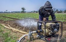 Pompanisasi Temanggung: Tingkatkan Luas Tanam Padi dan Produktivitas Pertanian