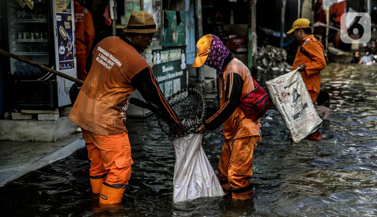 Petugas PPSU membersihkan sampah saat terjadi banjir rob di Pelabuhan Kali Adem, Muara Angke, Jakarta, Selasa (9/11/2021). Walau terendam banjir rob, petugas PPSU tetap sigap bersihkan sampah yang mengambang terbawa air laut. (Liputan6.com/Faizal Fanani)