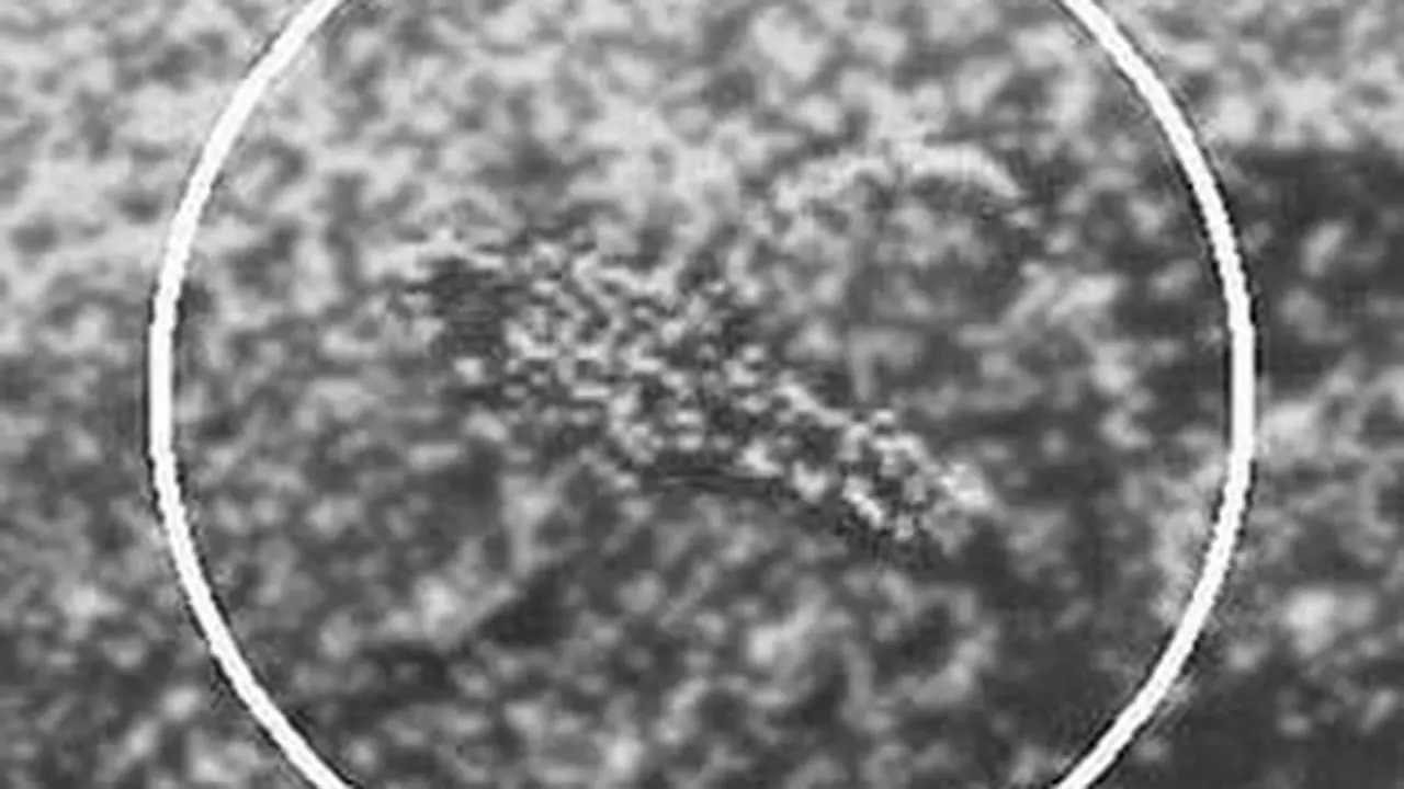 120122cvirus-venus.jpg