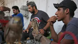 Seorang pria Irak memegang elang di pasar hewan peliharaan al-Ghazal di ibukota Irak, Baghdad (11/10/2019). Pasar hewan peliharaan al-Ghazal ini hanya buka pada hari Jumat. (AFP Photo/Ahmad Al-Rubaye)